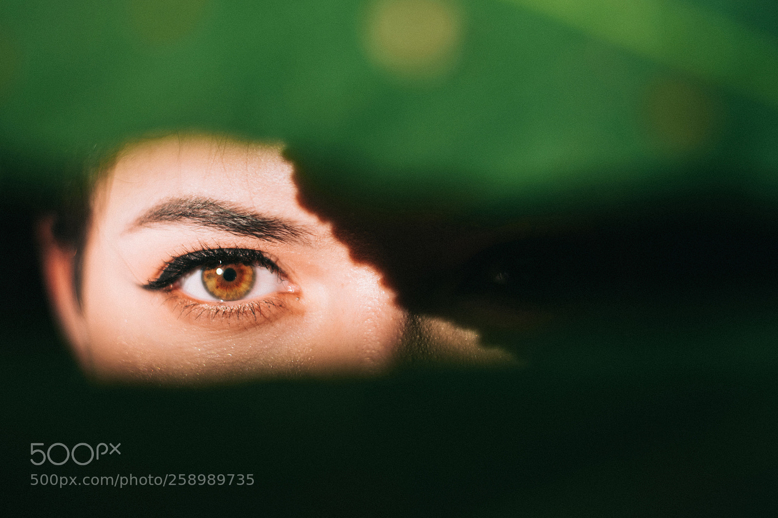 Nikon D5300 sample photo. Renata photography