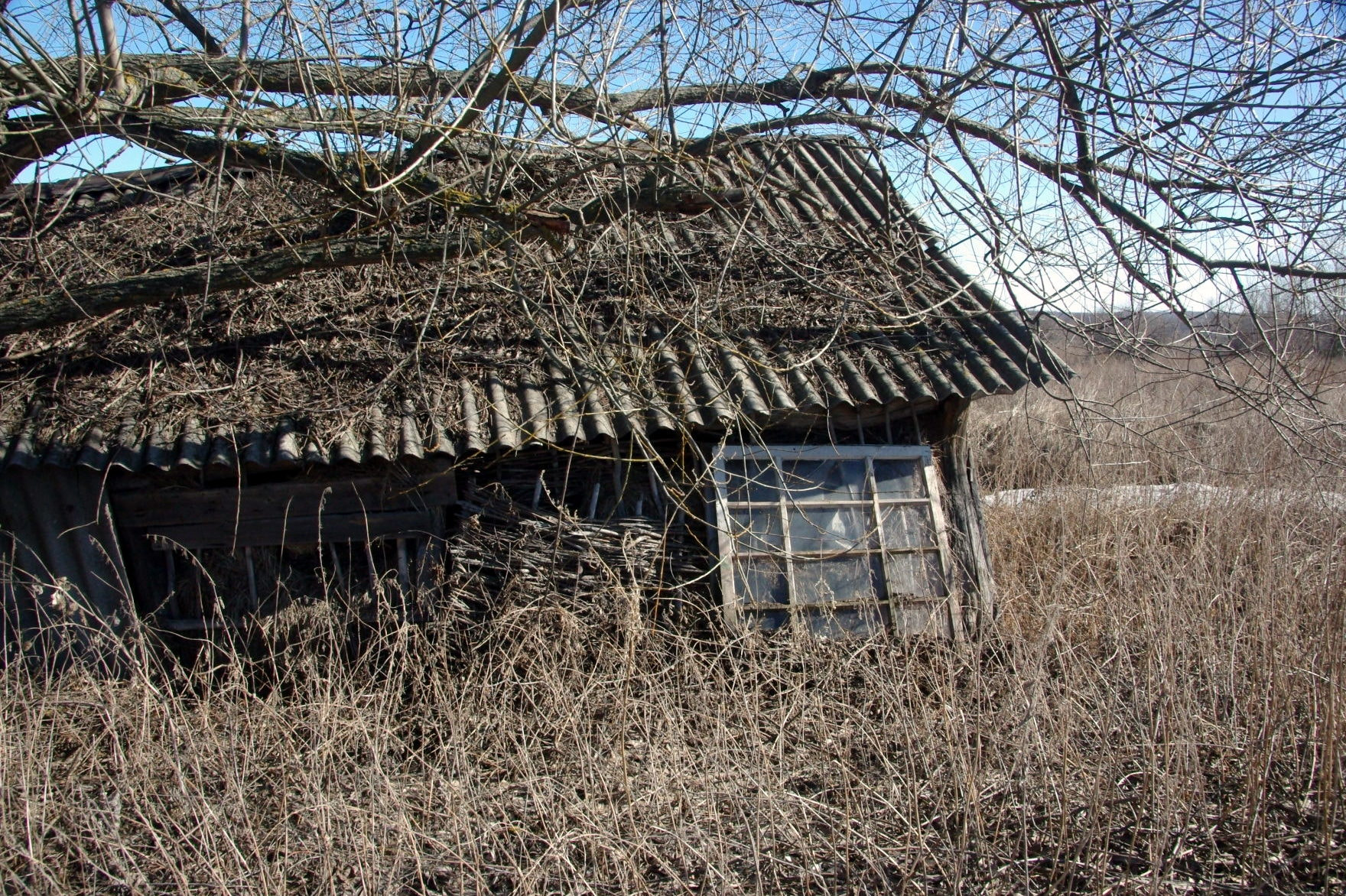 Pentax K200D sample photo. The civilization&nature's fight photography
