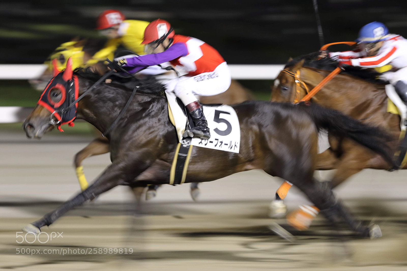Canon EOS 7D Mark II sample photo. Horse race photography