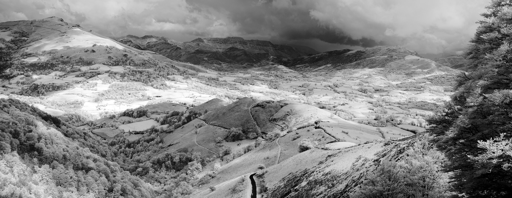 Pentax *ist DS sample photo. Cammino di santiago - pirenei - pyrenees photography