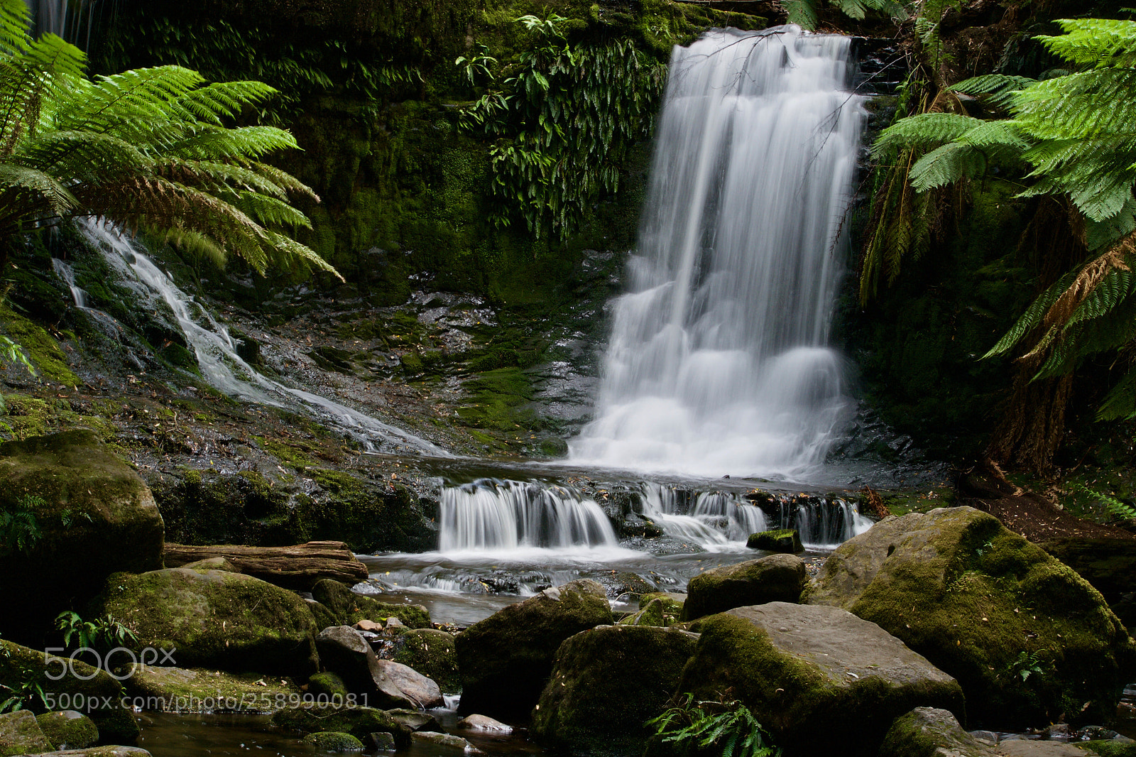 Nikon D3100 sample photo. Blurry falls photography