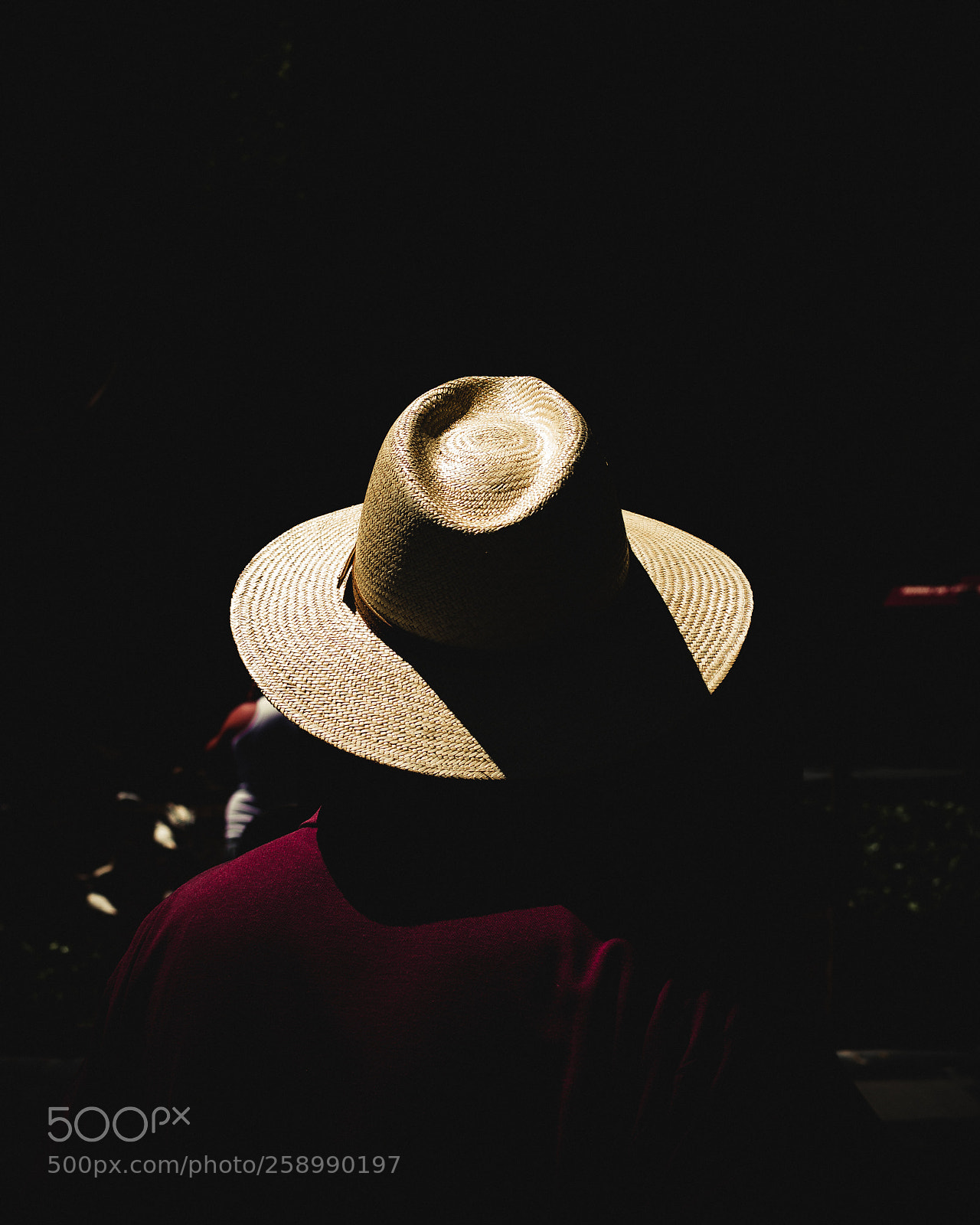 Nikon D3100 sample photo. Hat photography
