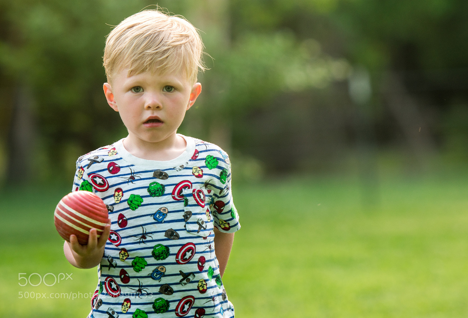 Nikon D3400 sample photo. Croquet photography