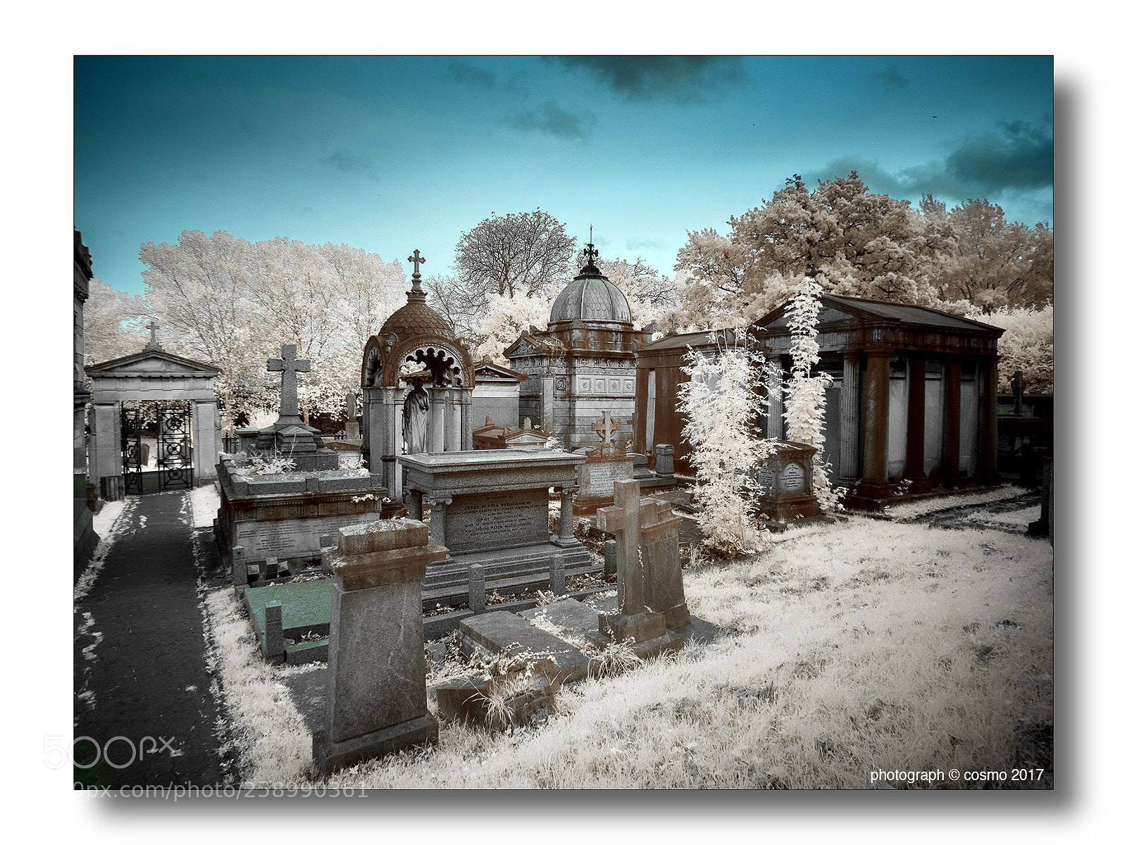 Panasonic Lumix DMC-GX8 sample photo. West norwood cemetery. photography