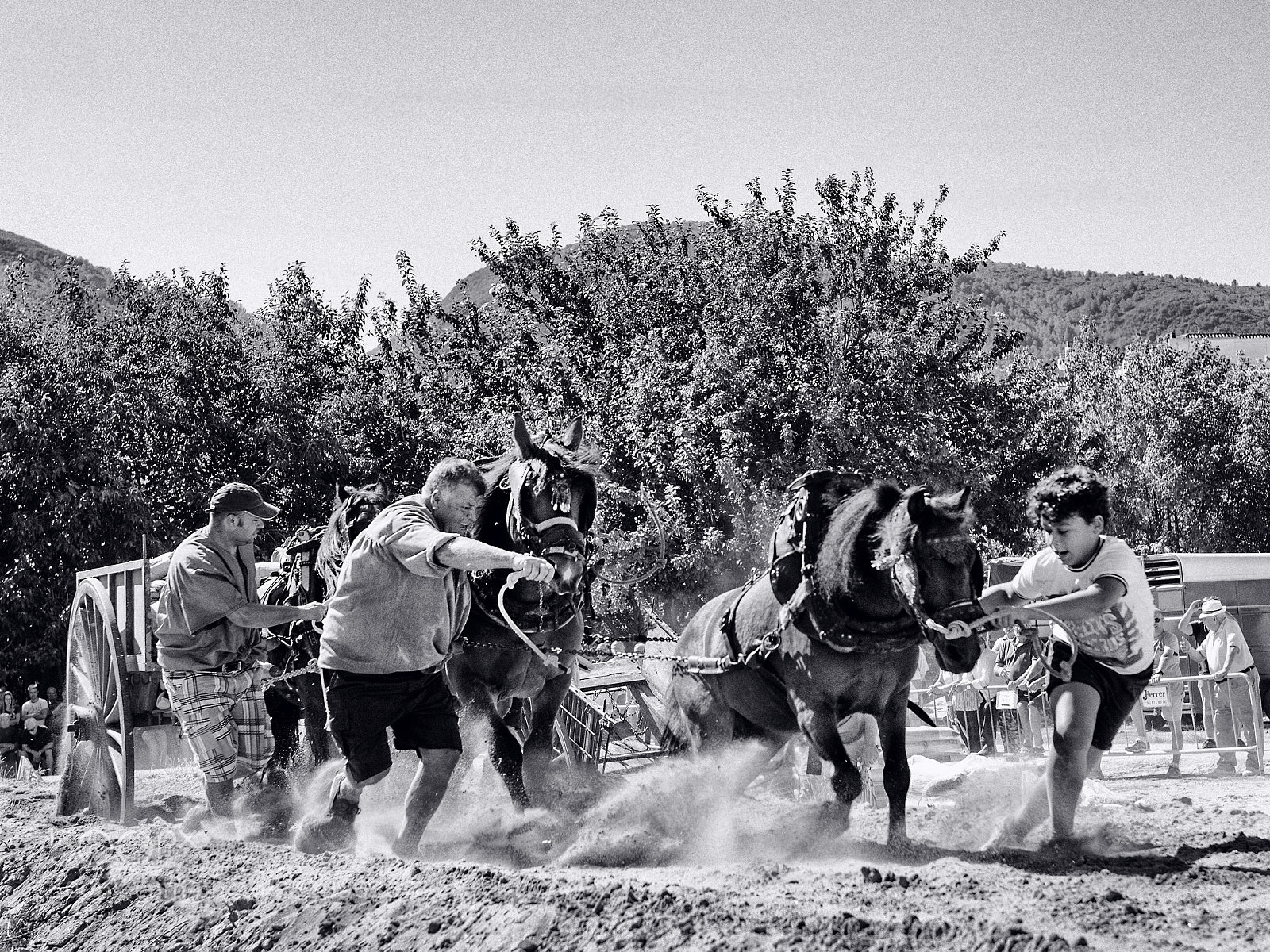 Nikon D800 sample photo. Tir i arrastre 1 photography
