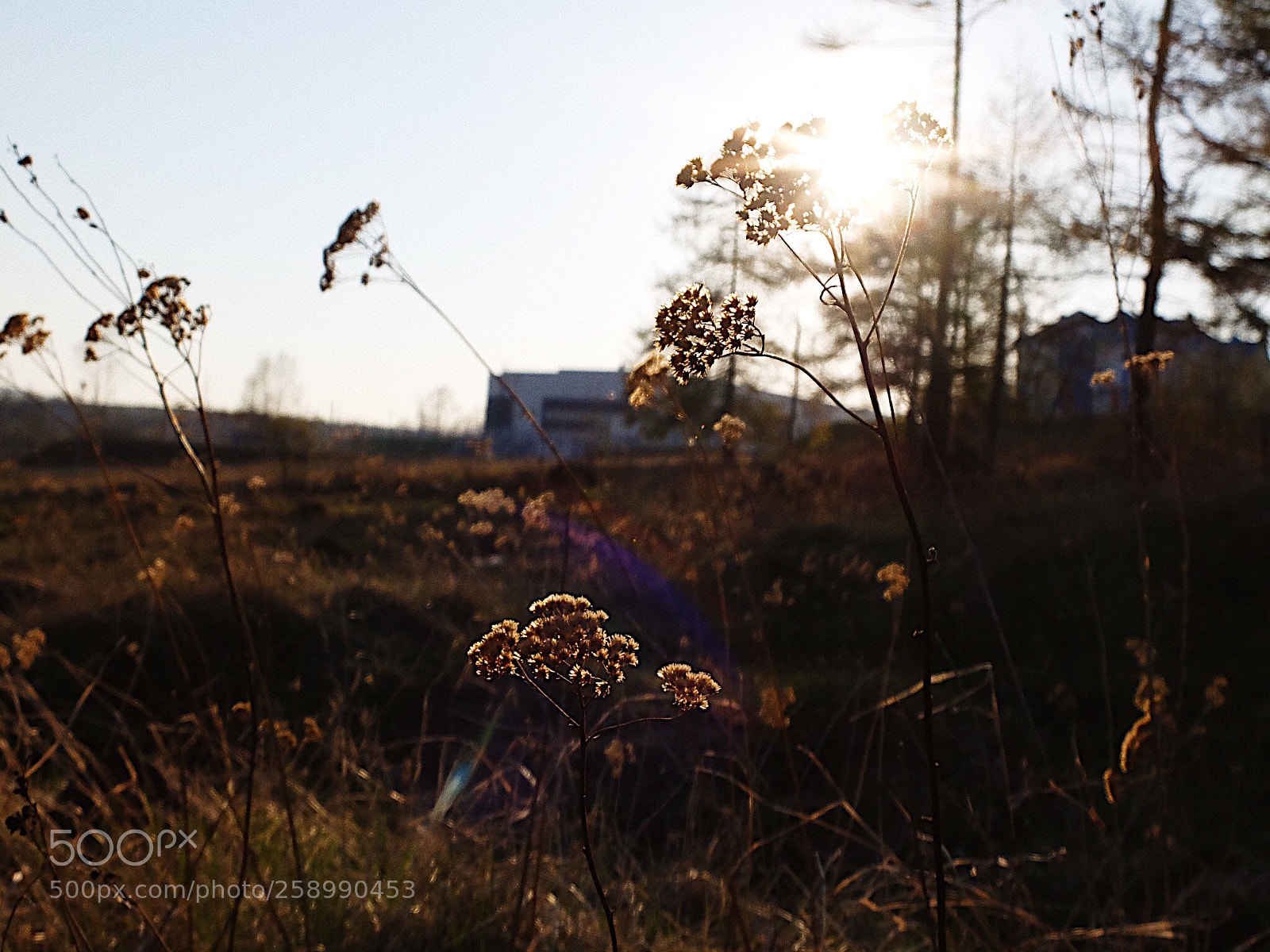 Fujifilm X30 sample photo. Calmness in vanino  photography