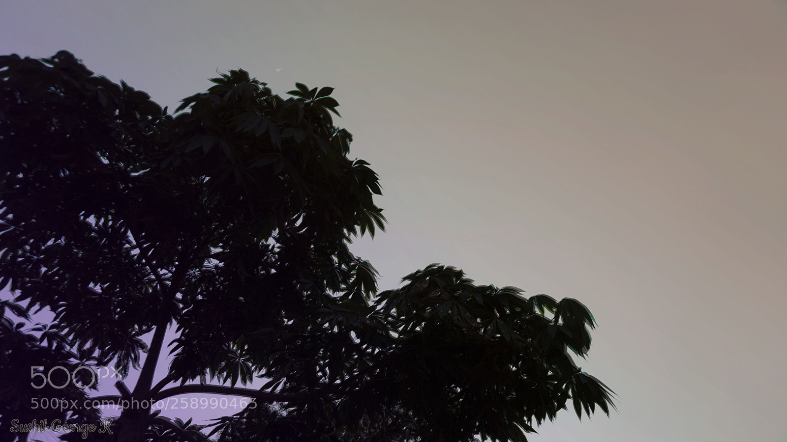 Sony a6000 sample photo. An abstract sunset and photography