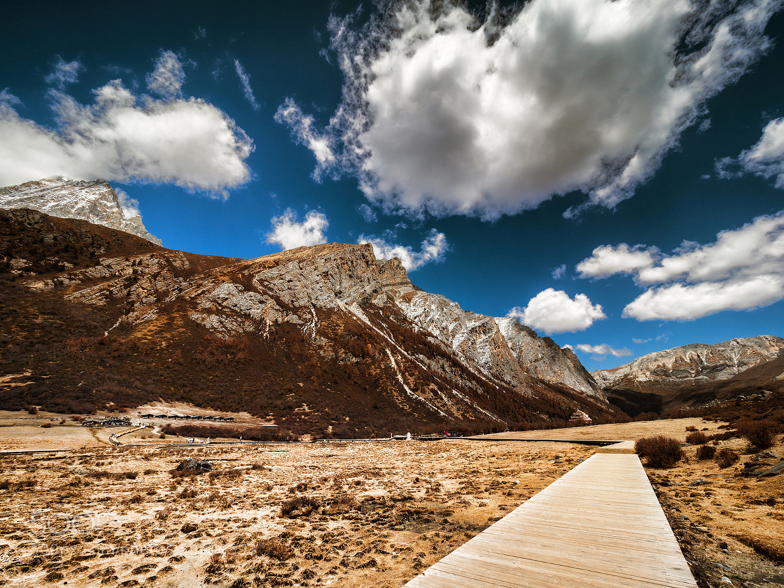 Olympus OM-D E-M1 Mark II sample photo. Yading nature reserve of photography