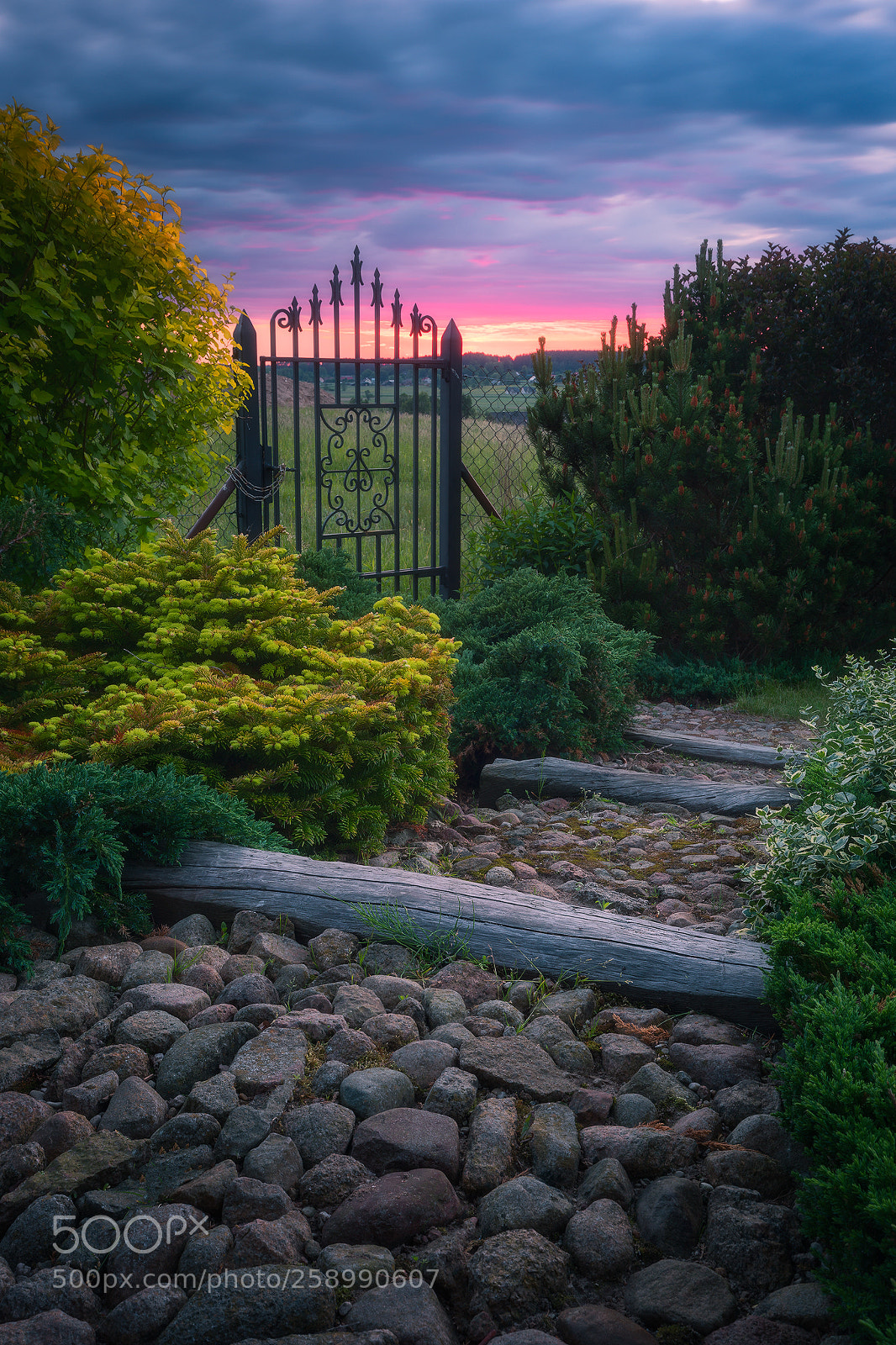 Canon EOS 5D Mark IV sample photo. The light gate... photography