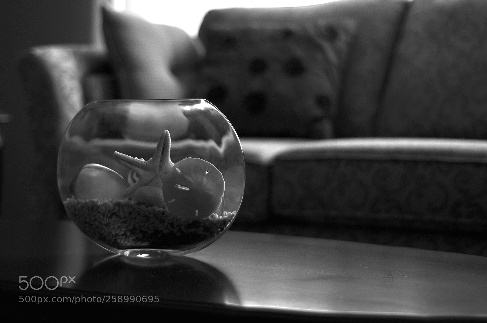 Nikon D90 sample photo. Untitled photography