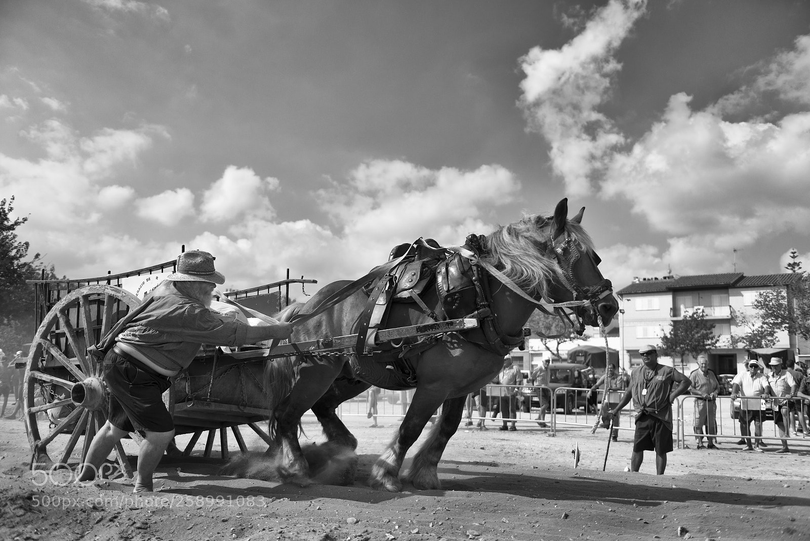 Nikon D800 sample photo. Tir i arrastre 2 photography
