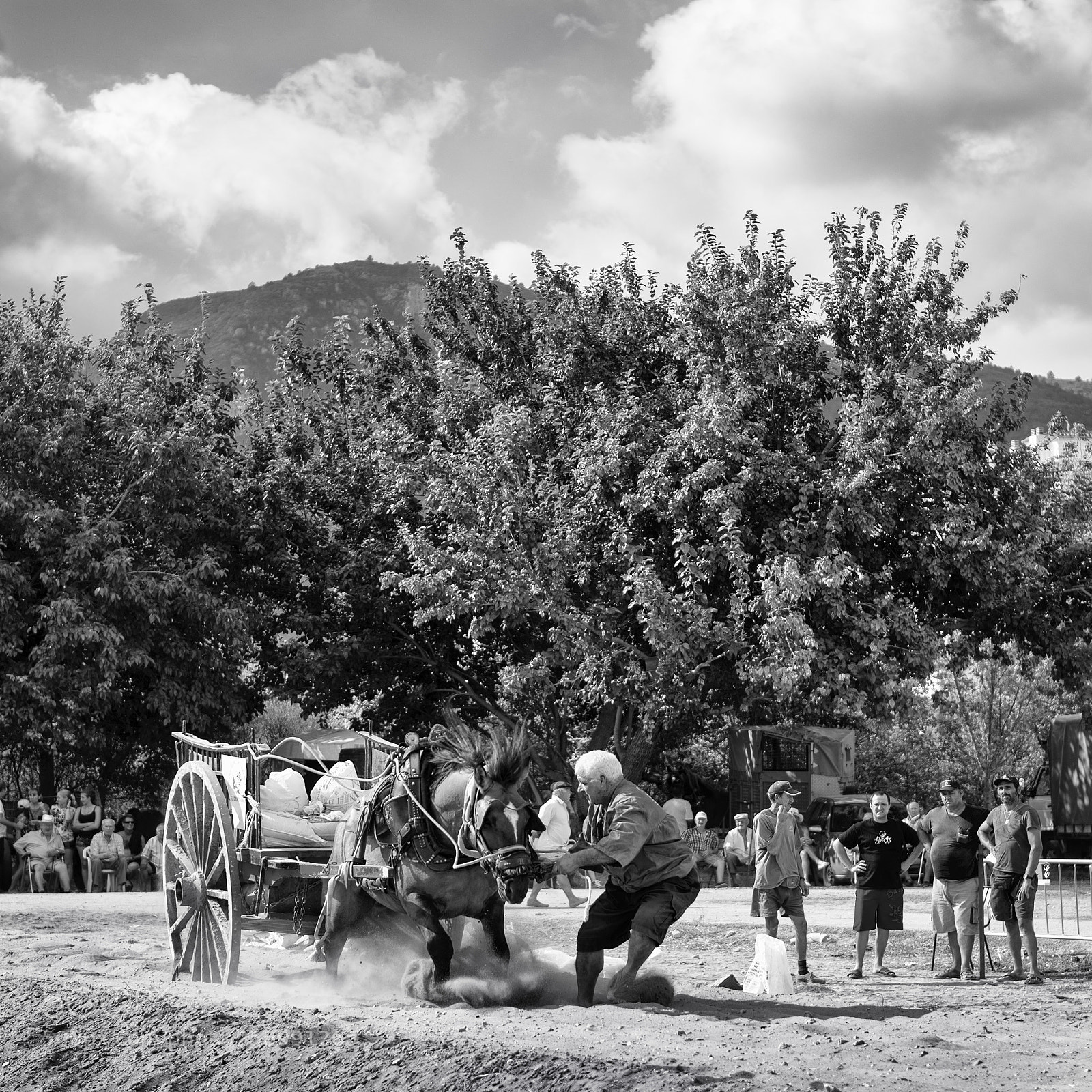 Nikon D800 sample photo. Tir i arrastre 3 photography
