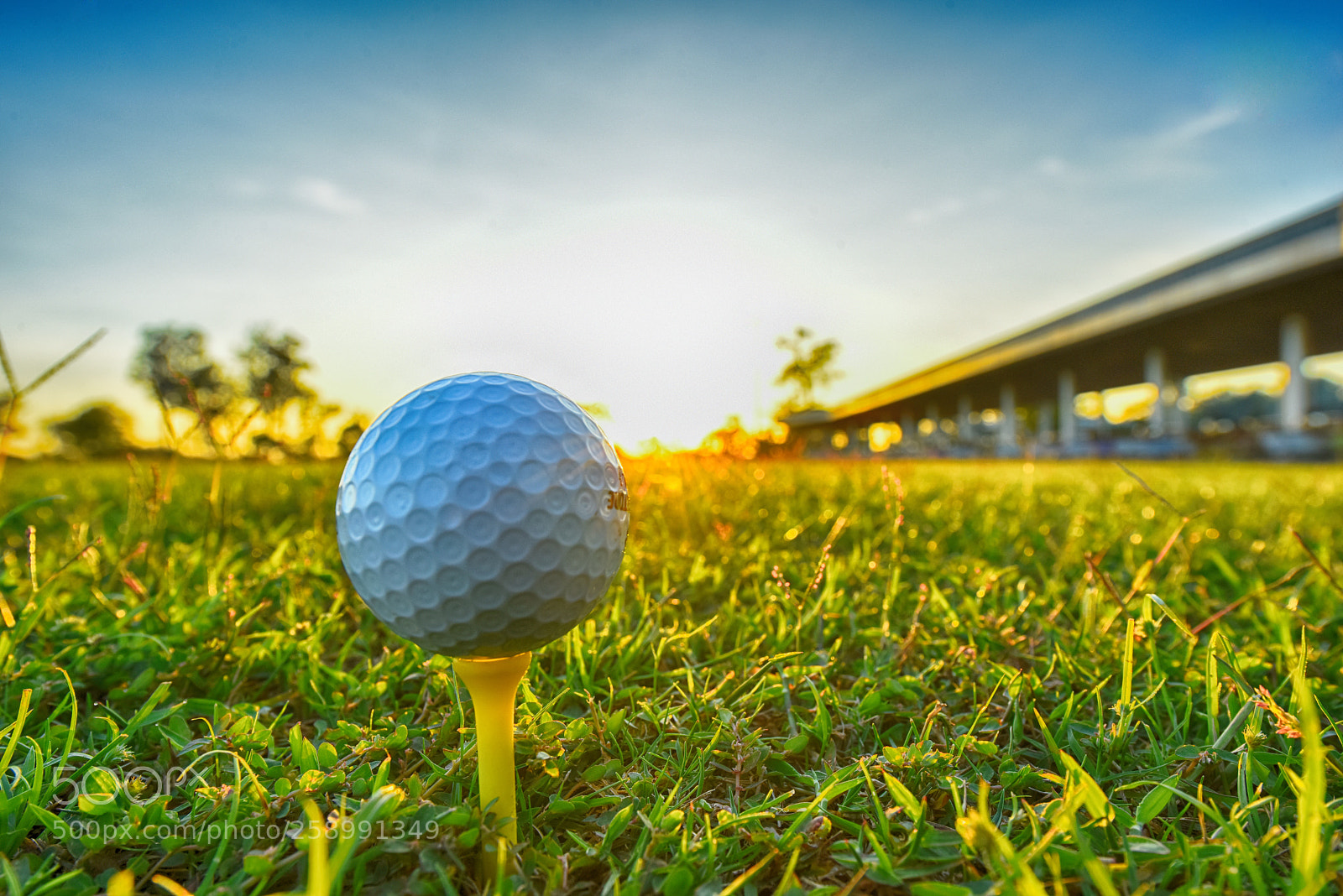Nikon D810 sample photo. Golf ball photography