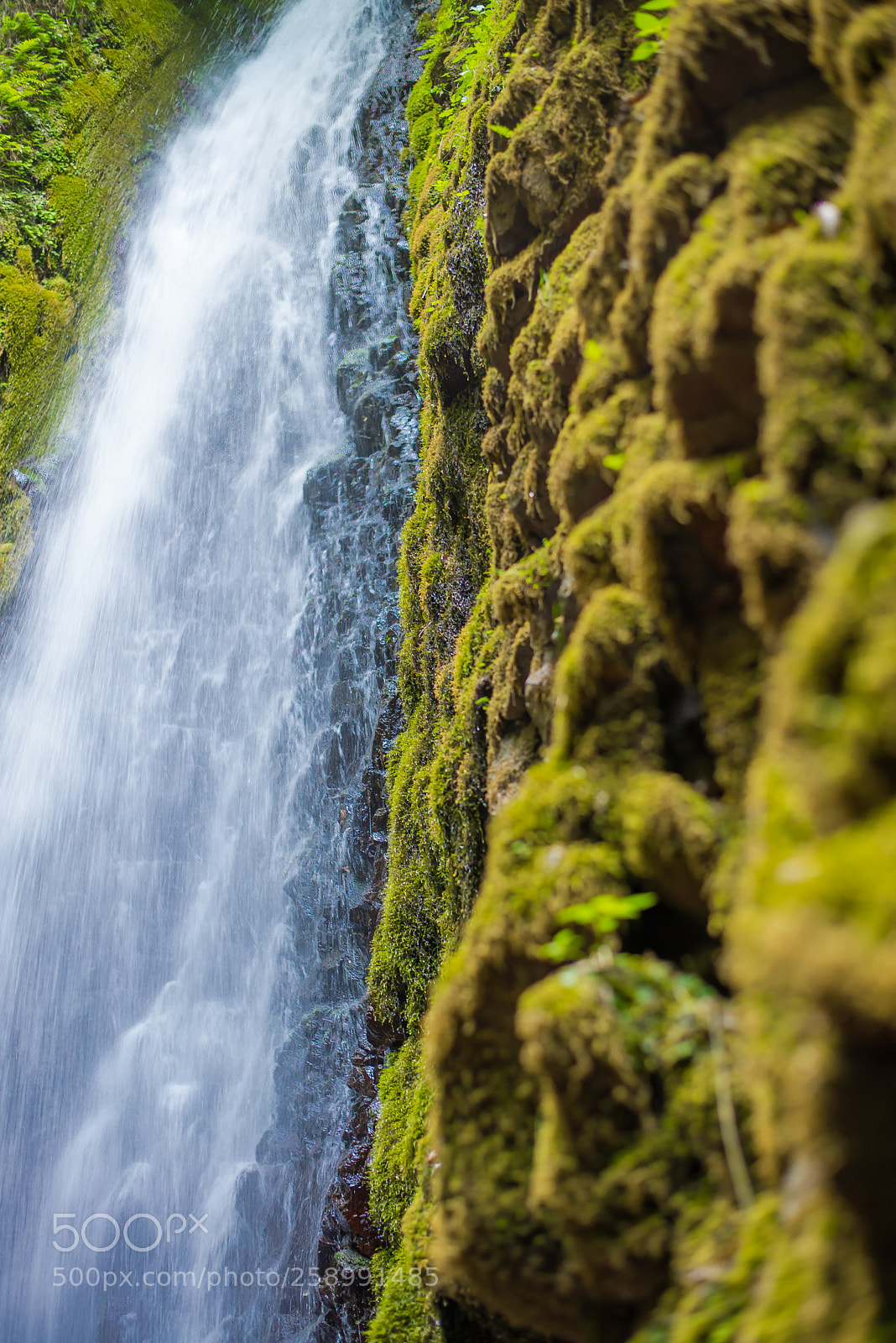 Nikon D610 sample photo. Beppu's water photography