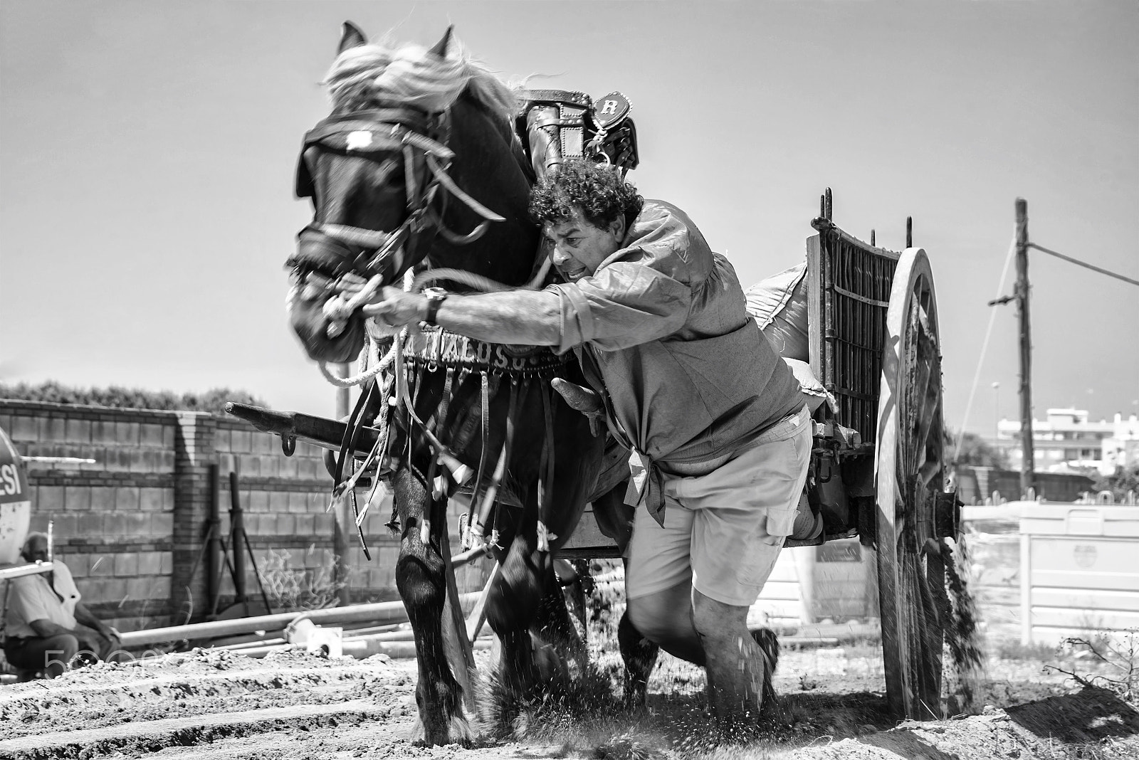 Nikon D800 sample photo. Tir i arrastre 4 photography