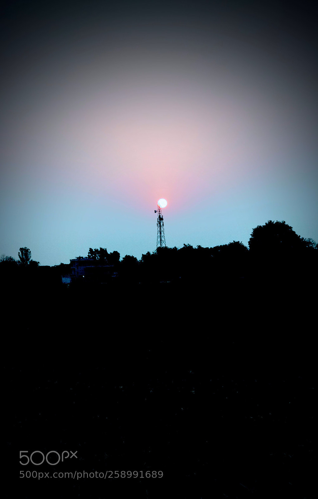 Xiaomi Mi A1 sample photo. Untitled photography