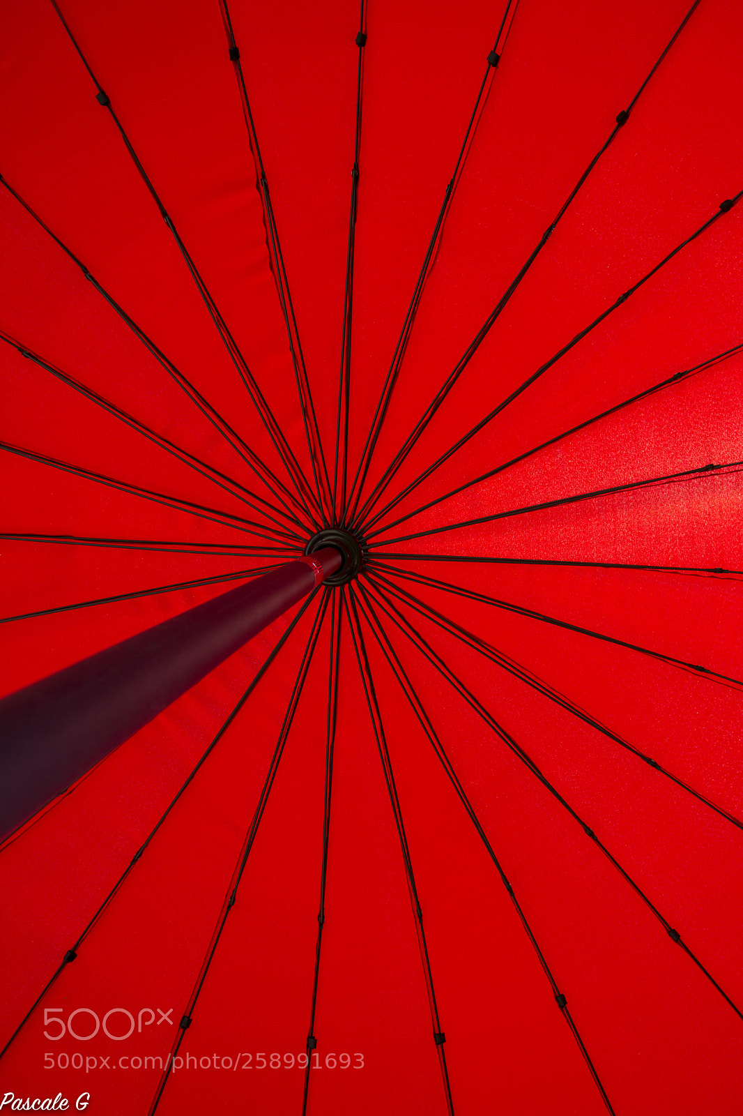 Nikon D7100 sample photo. Parasol photography