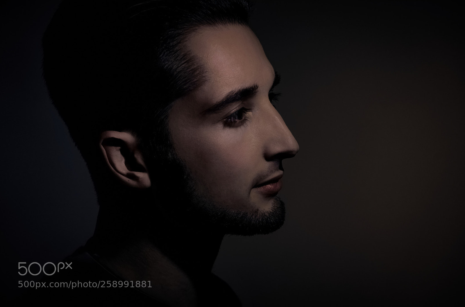 Sony a7R II sample photo. Marcel single lume cube photography