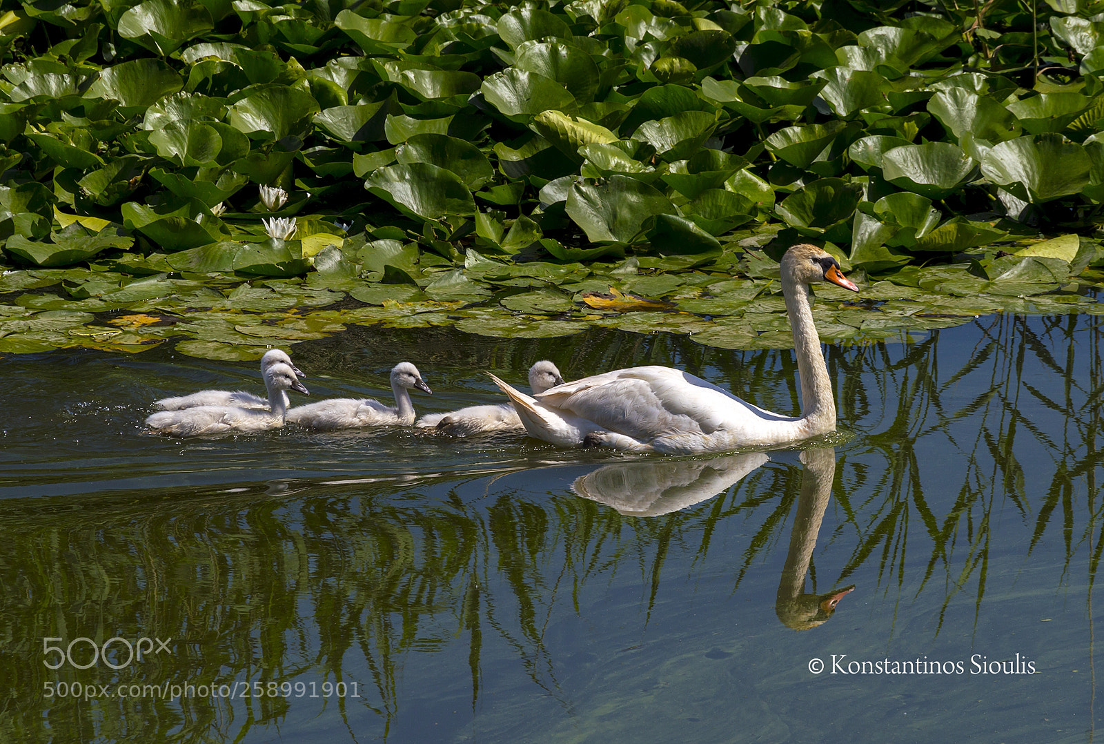 Nikon D3200 sample photo. Untitled photography