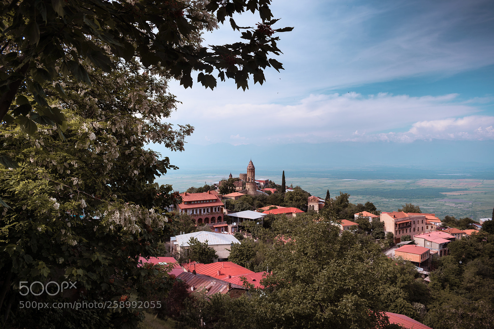 Nikon D5300 sample photo. Life in sighnaghi photography