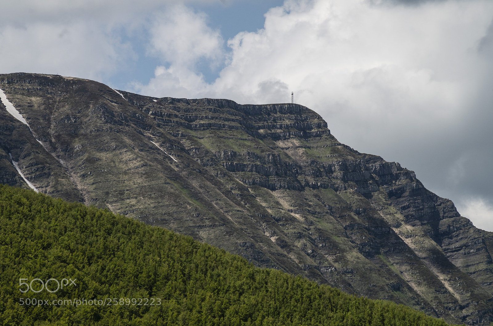 Pentax K-30 sample photo. Sua maest il corno photography