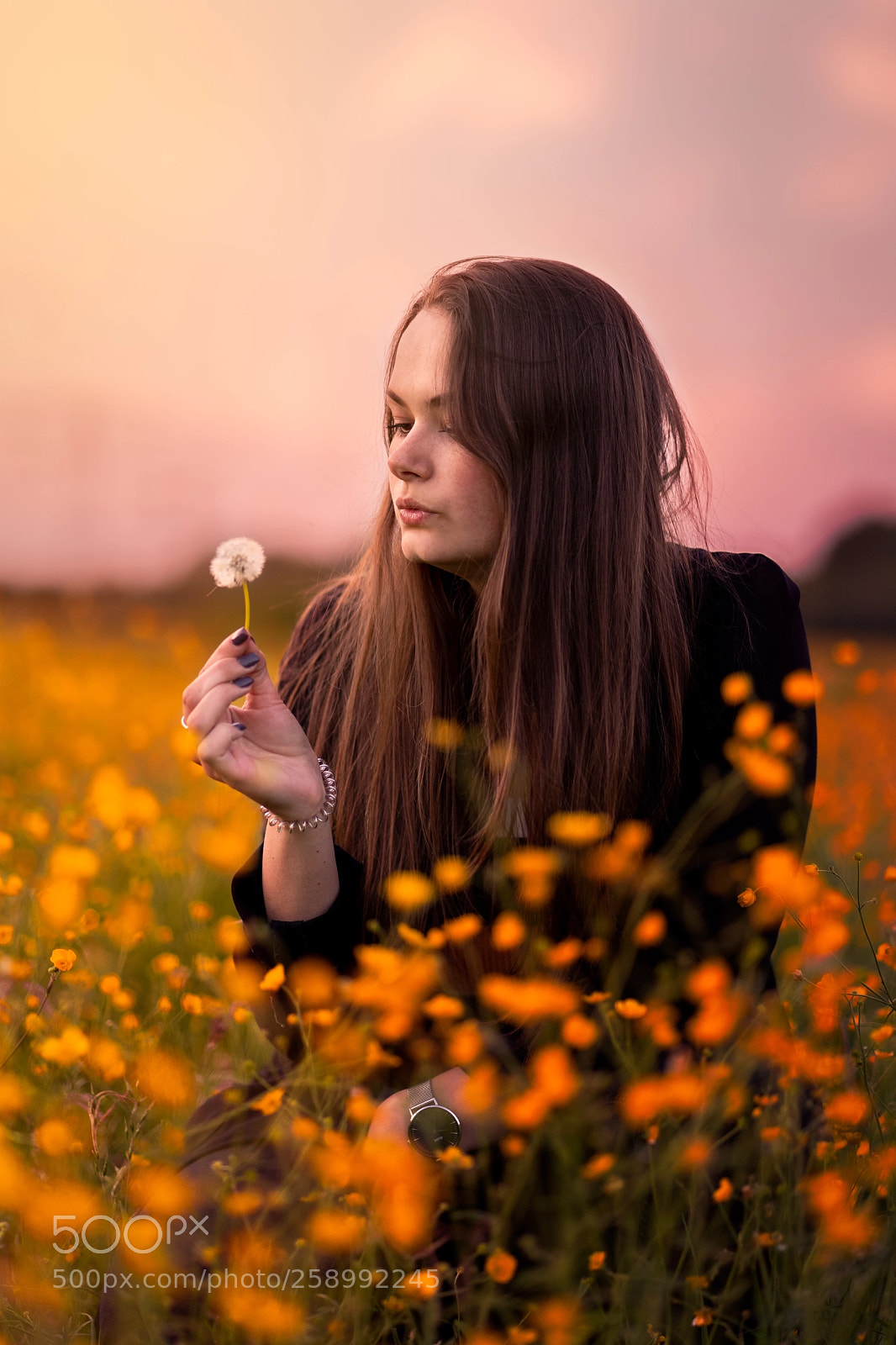 Sony a7 II sample photo. Nina paardenbloem photography