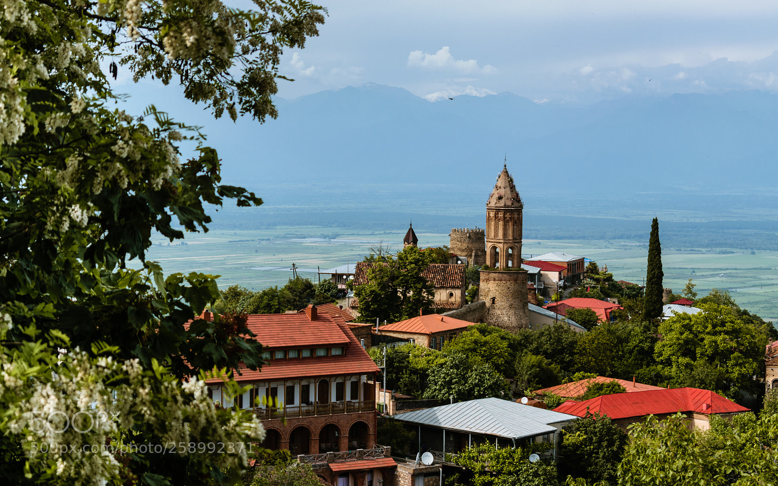 Nikon D5300 sample photo. Life in sighnaghi photography