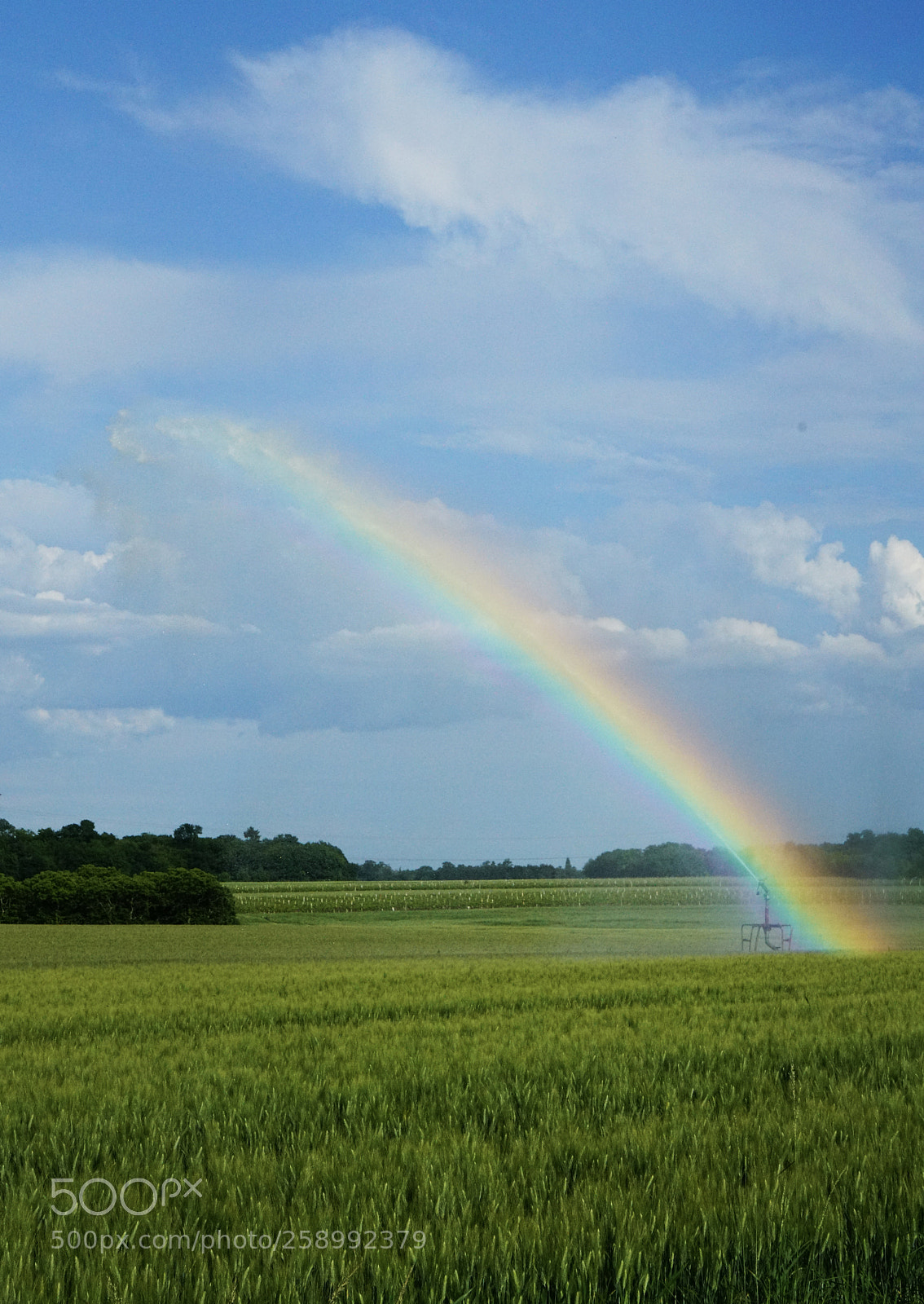 Sony a7R II sample photo. Rainbow canon photography