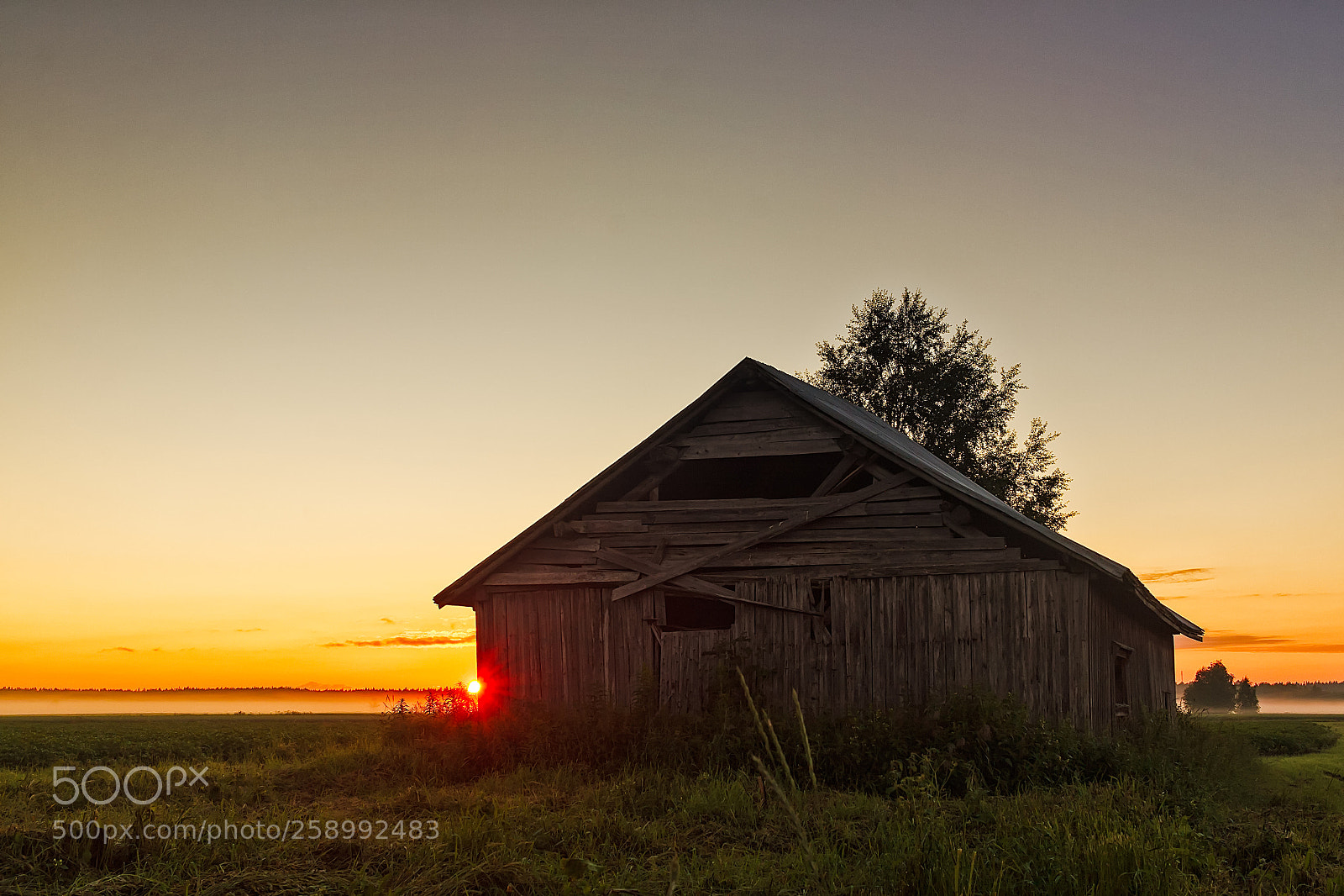 Canon EOS 50D sample photo. Midsummer sunset behind a photography