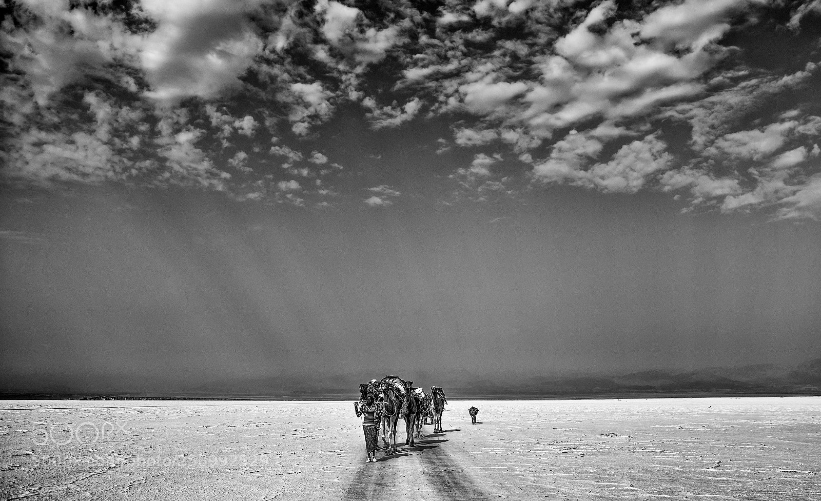 Nikon D7100 sample photo. Caravan of camel in photography