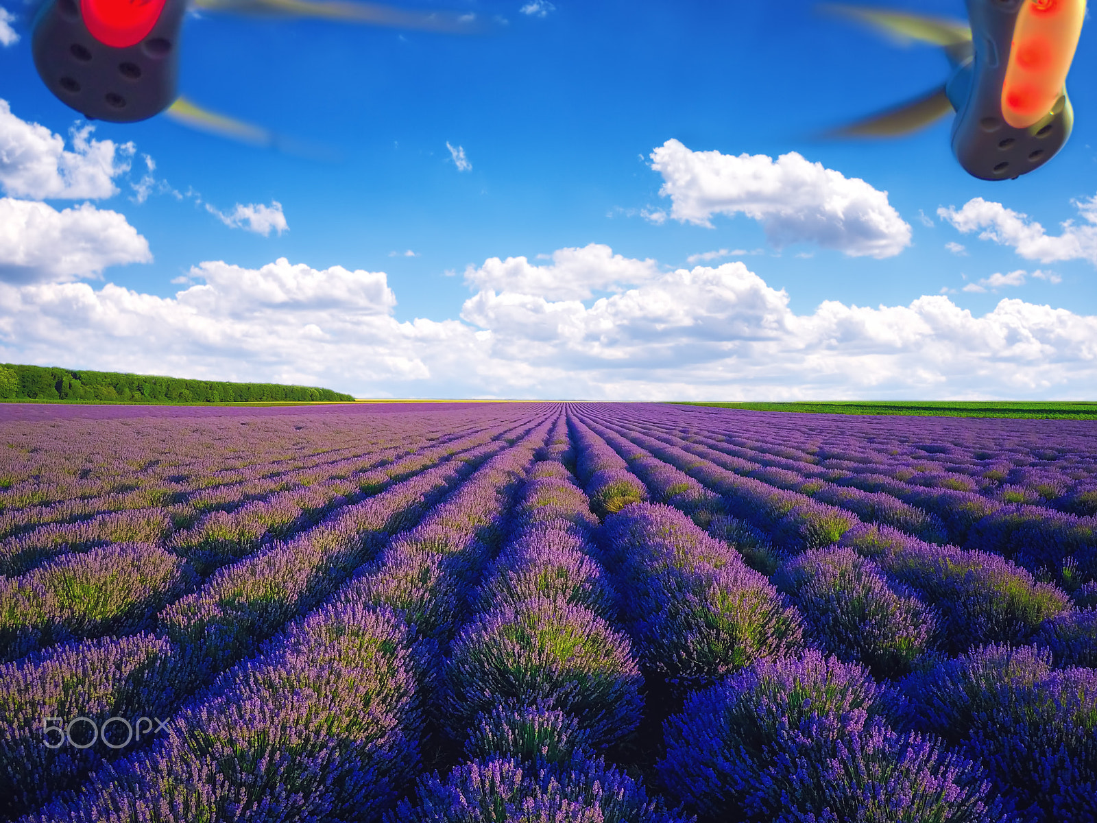 GoPro HERO4 Black sample photo. Aerial view of lavender field in provence photography