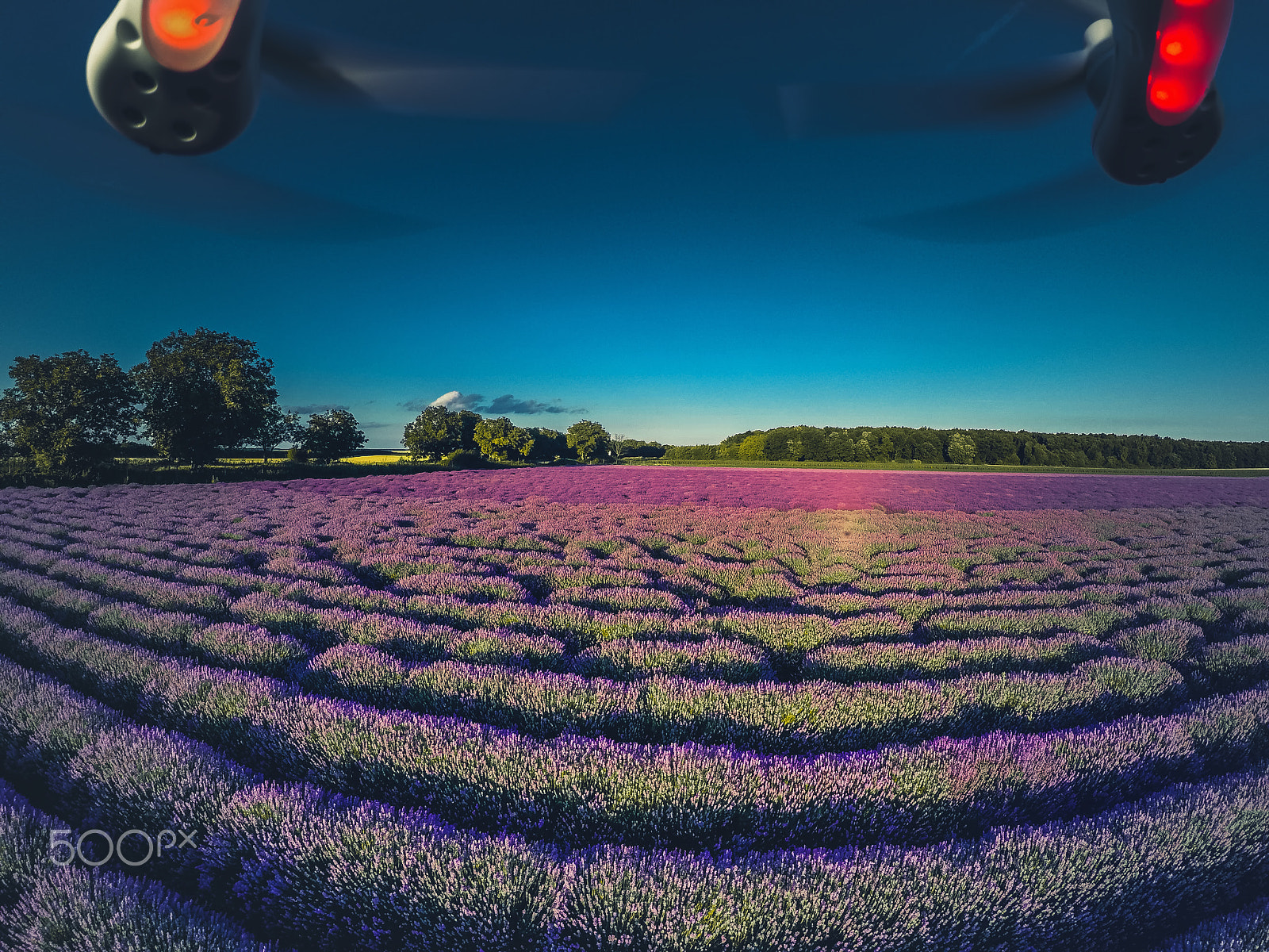 GoPro HERO4 Black sample photo. Aerial view of lavender field in provence photography