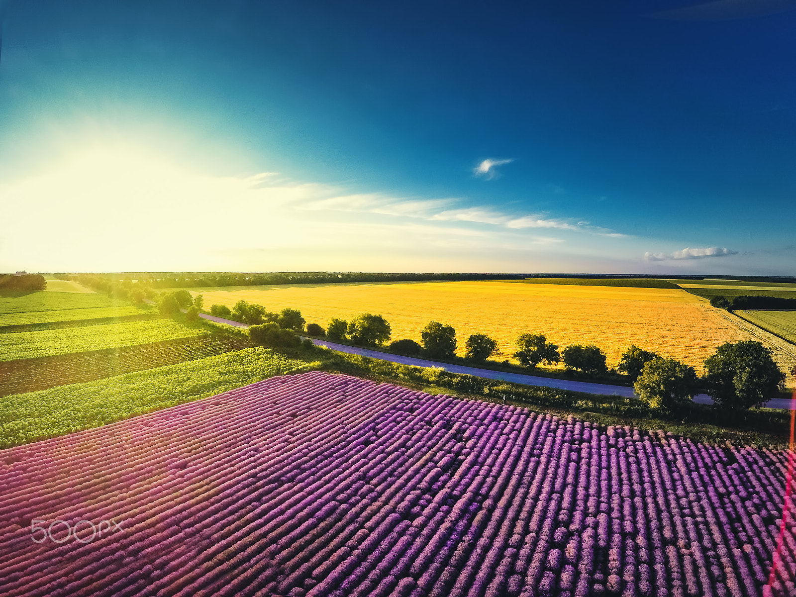 GoPro HERO4 Black sample photo. Aerial view of lavender field in provence photography