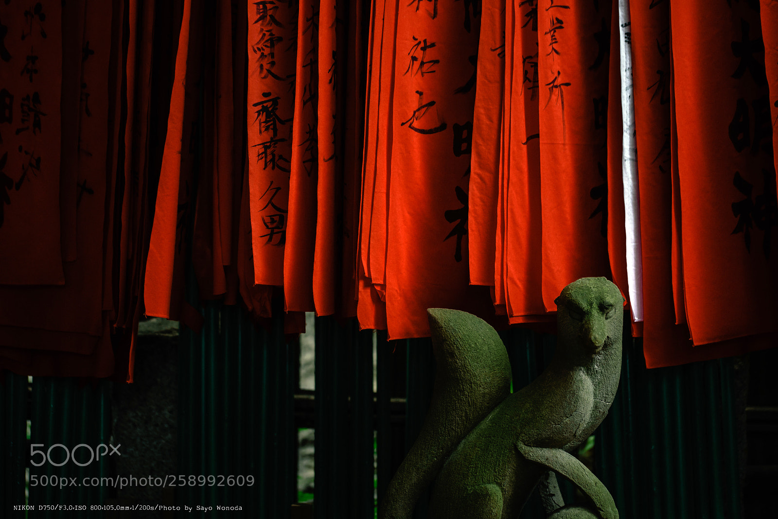 Nikon D750 sample photo. 出世稲荷 photography