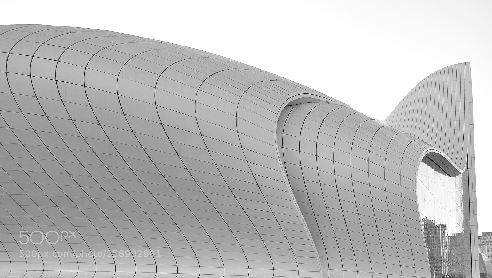 Olympus OM-D E-M5 II sample photo. Curves photography