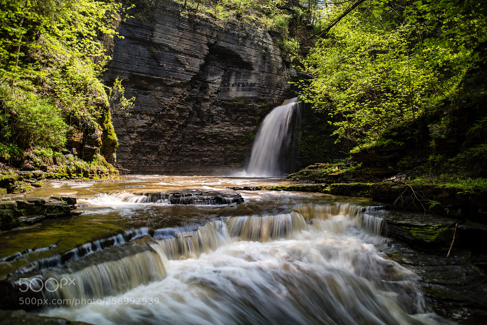 Nikon D750 sample photo. Eagle cliff falls photography