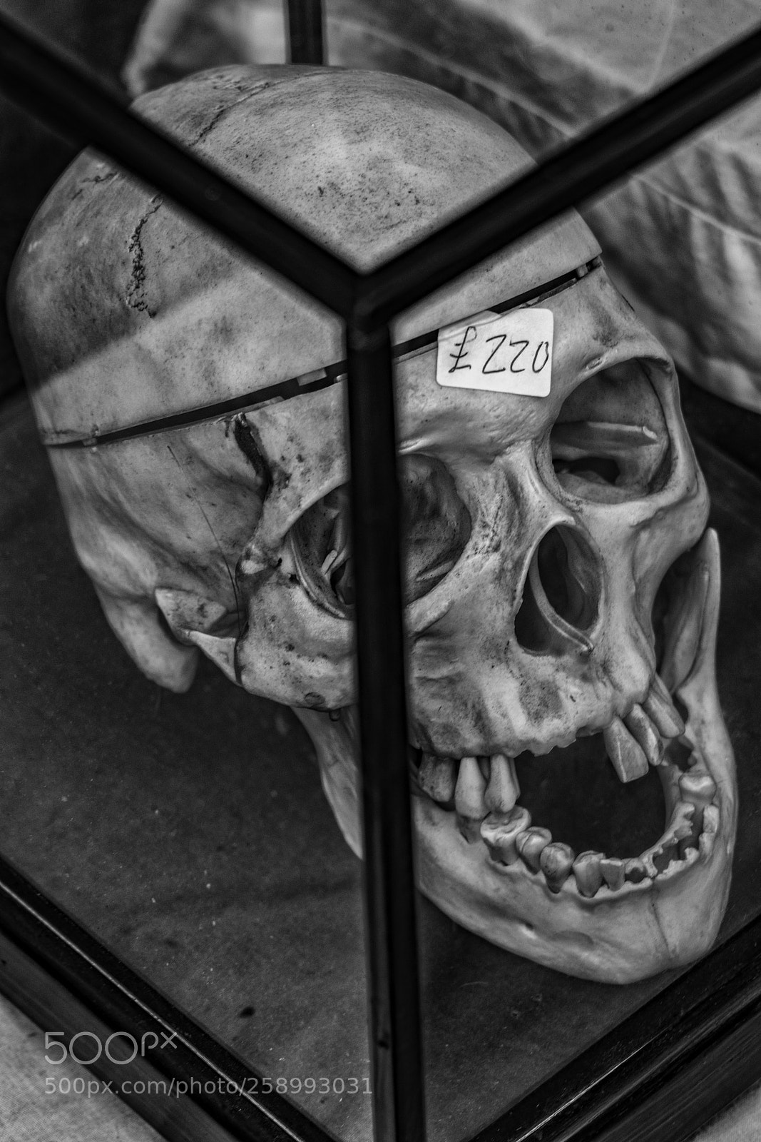 Sony a7R II sample photo. ... for sale ? photography