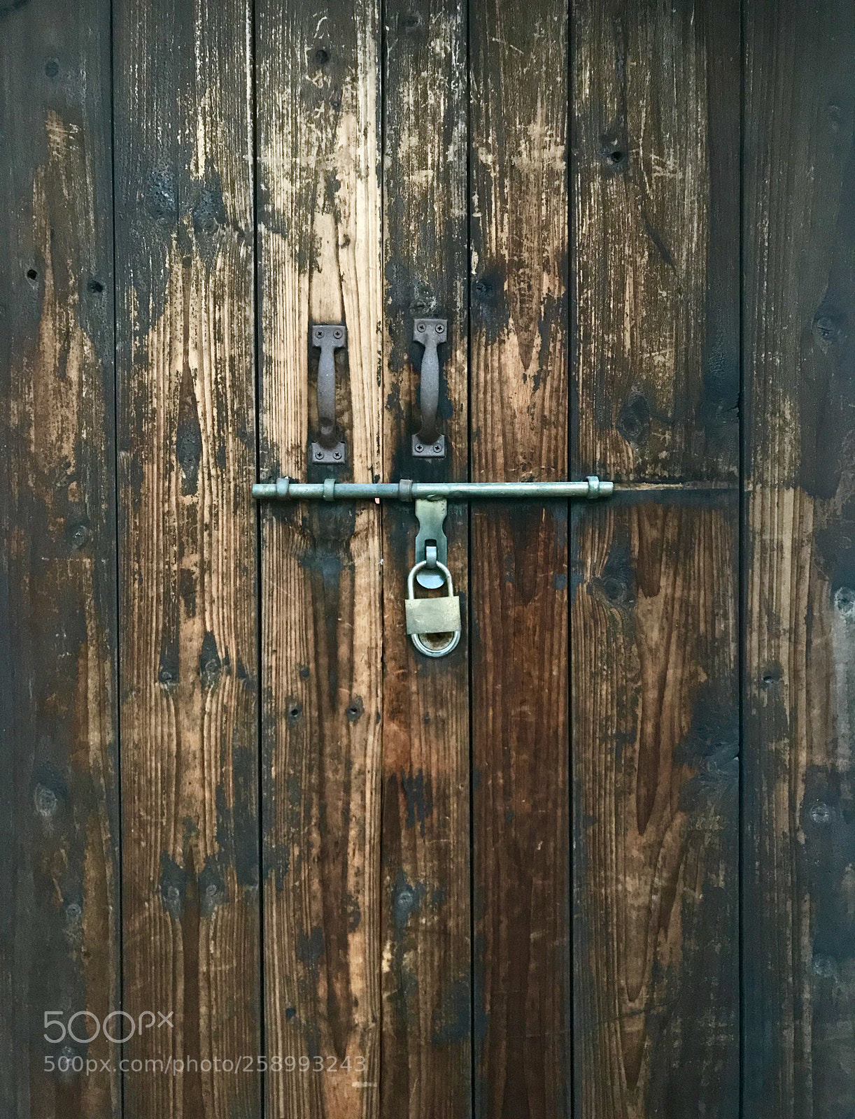 Apple iPhone 7 sample photo. Untitled photography