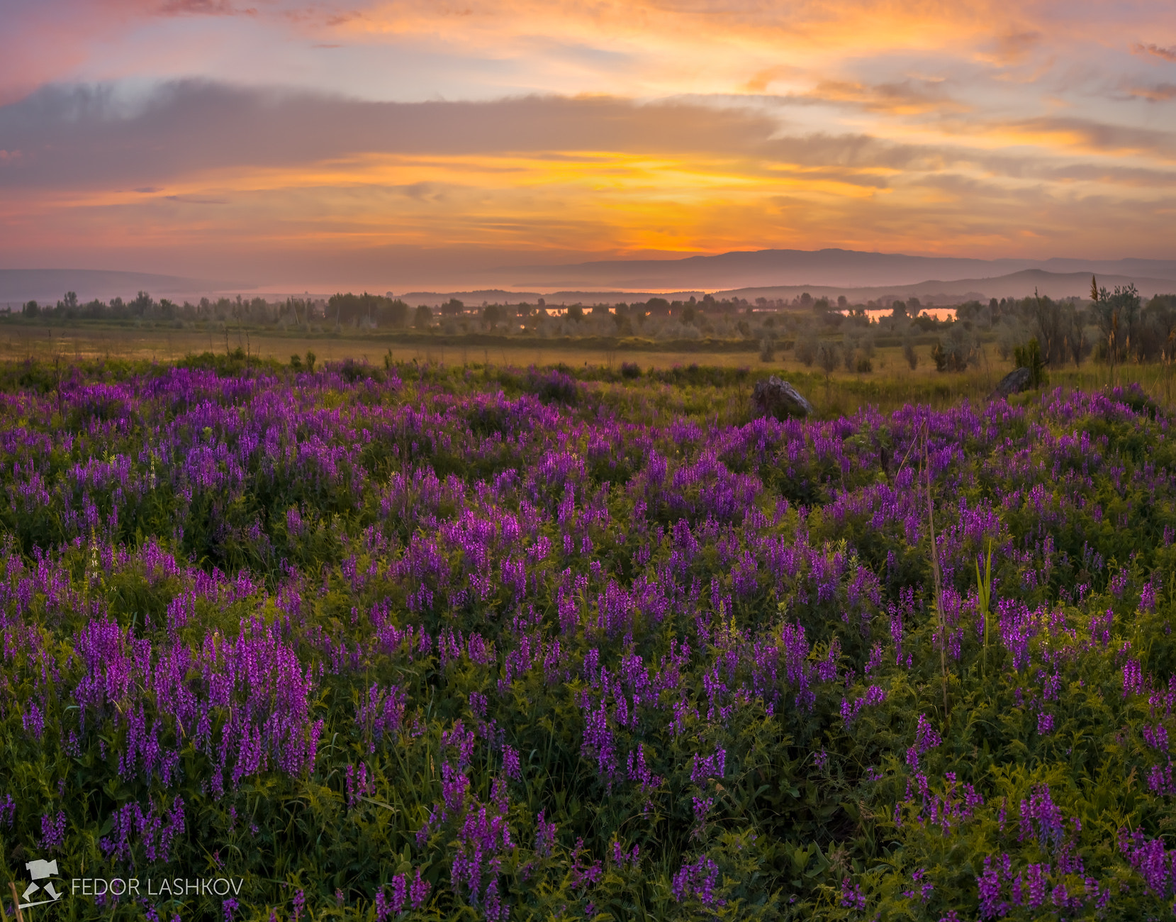 Pentax 645Z sample photo. The magic of the spring dawn photography