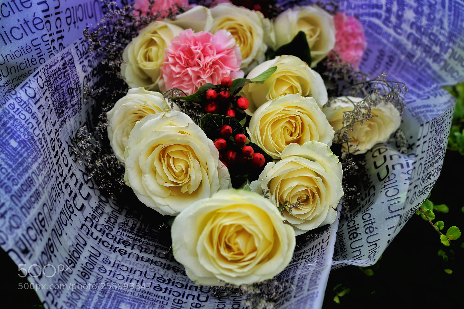 Canon EOS 750D (EOS Rebel T6i / EOS Kiss X8i) sample photo. Untitled photography