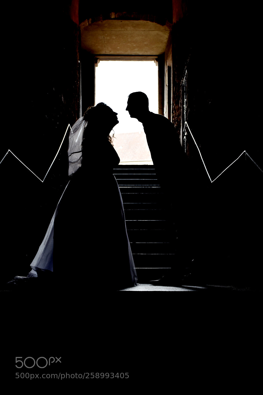 Nikon D5600 sample photo. Kiss photography