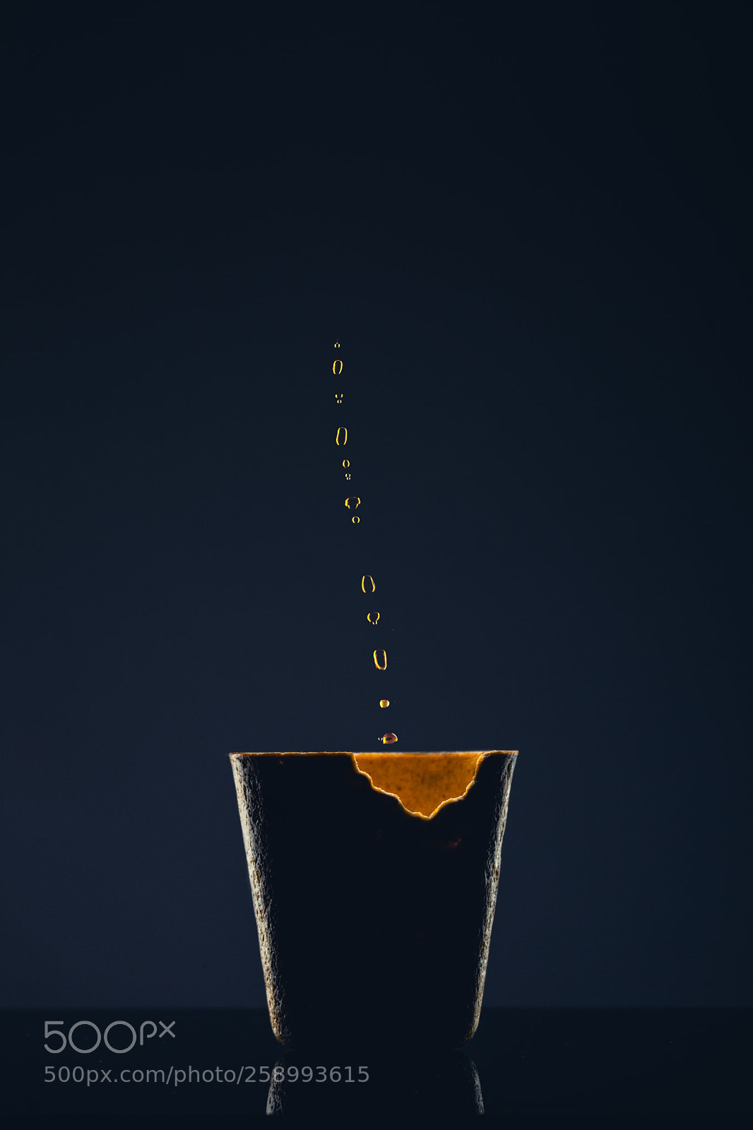Canon EOS 5D Mark IV sample photo. Bio wafer cup on photography