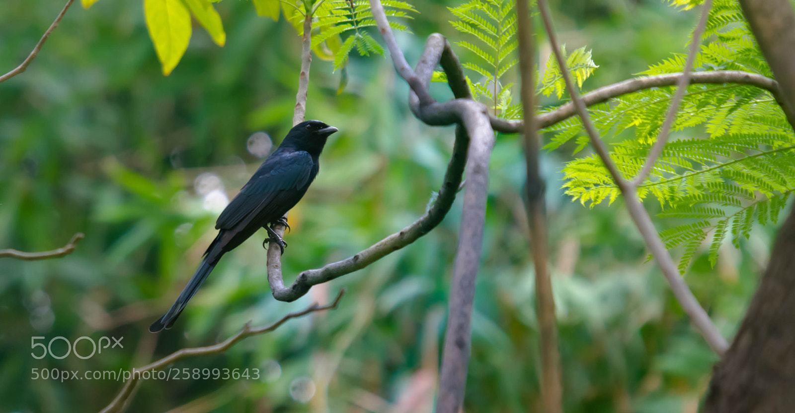 Nikon D7000 sample photo. Untitled photography