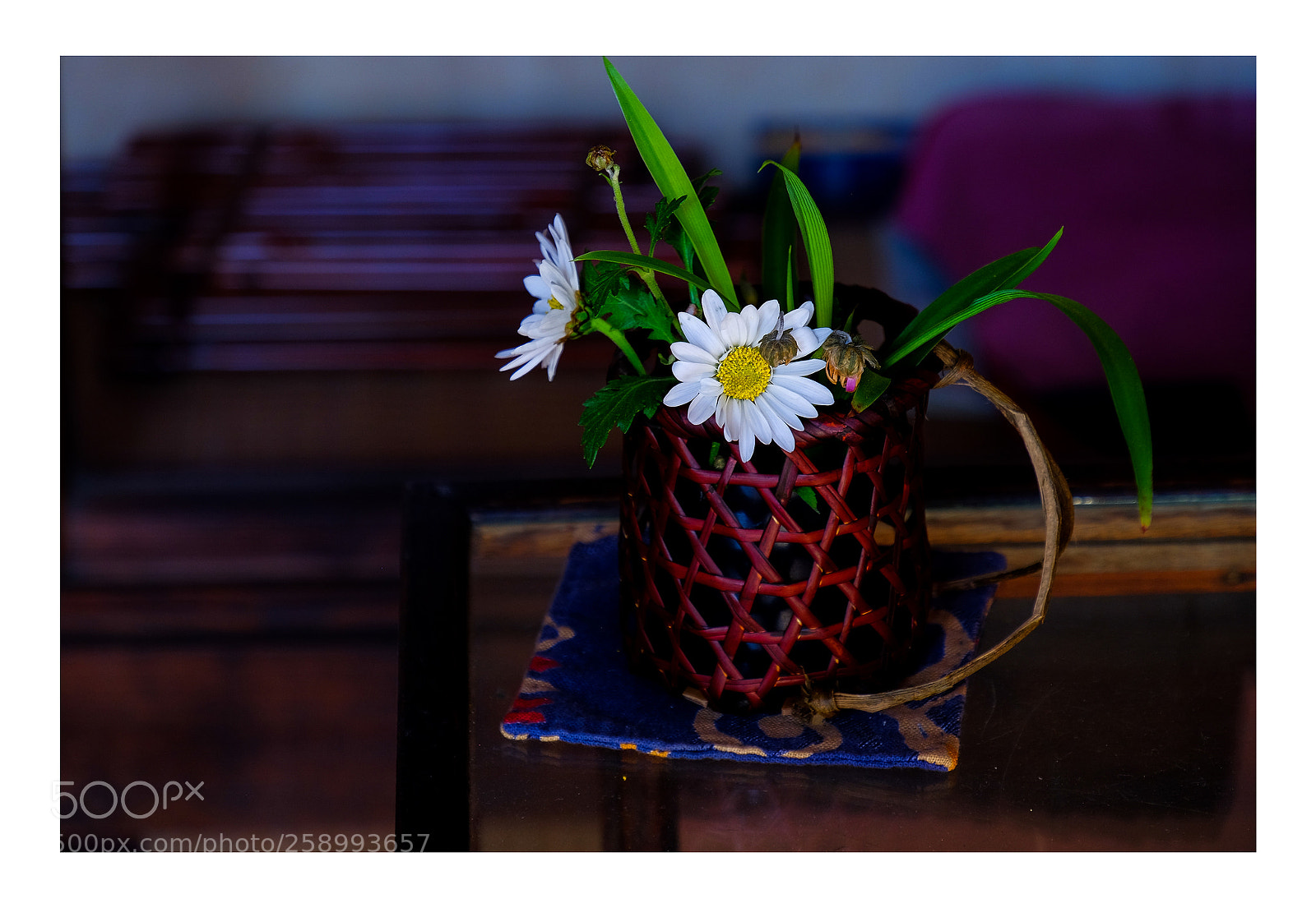 Fujifilm X-T1 sample photo. Untitled photography