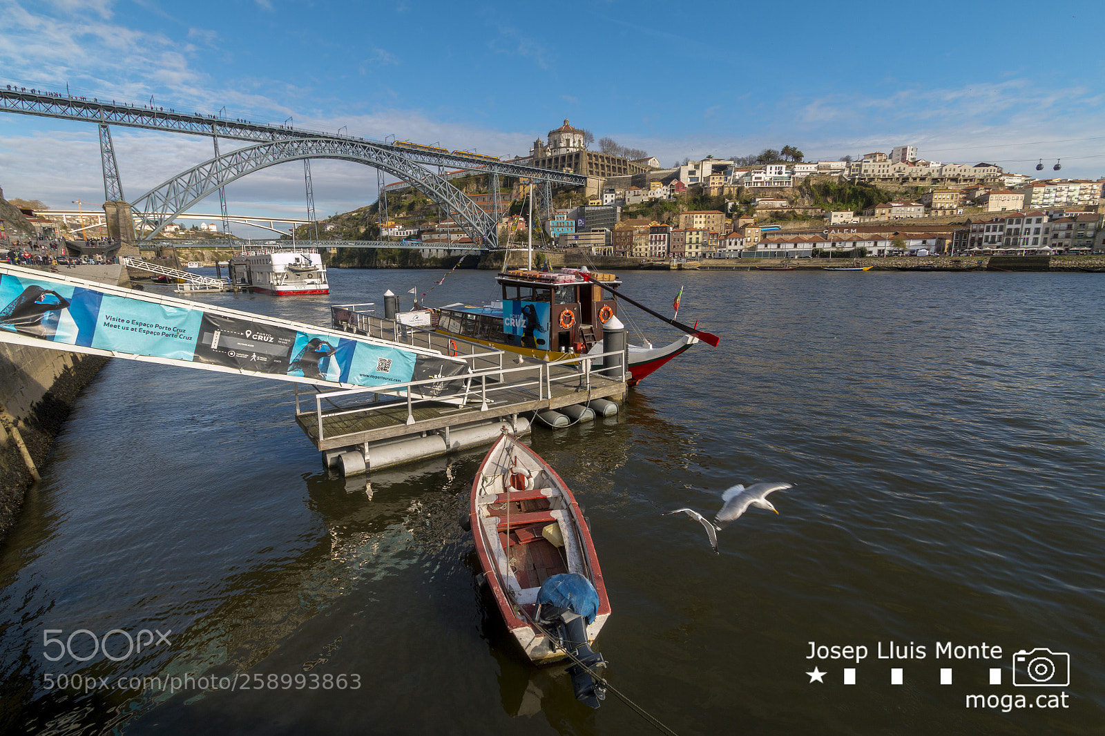 Canon EOS 70D sample photo. Oporto photography