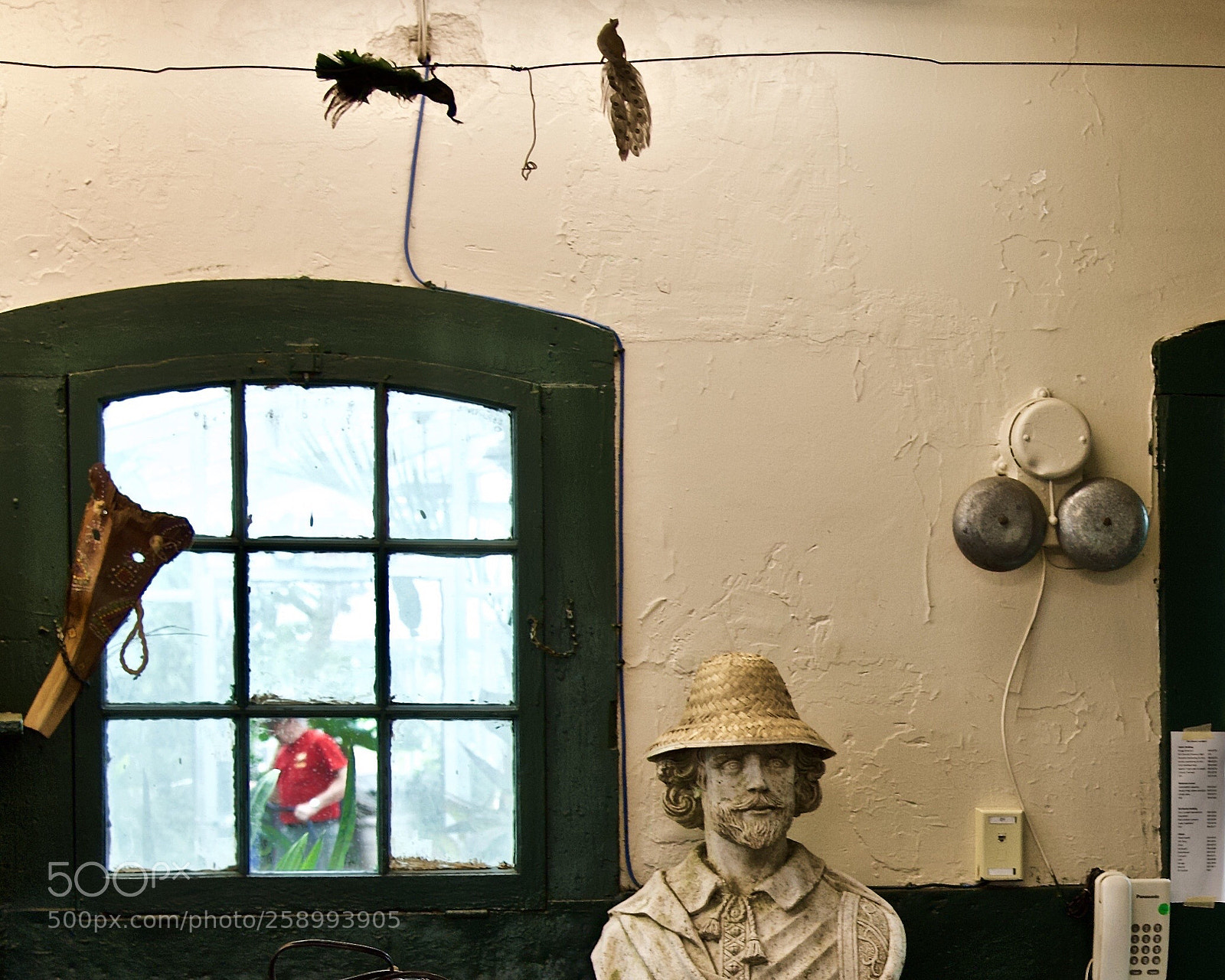 Nikon D750 sample photo. Greenhouse office photography