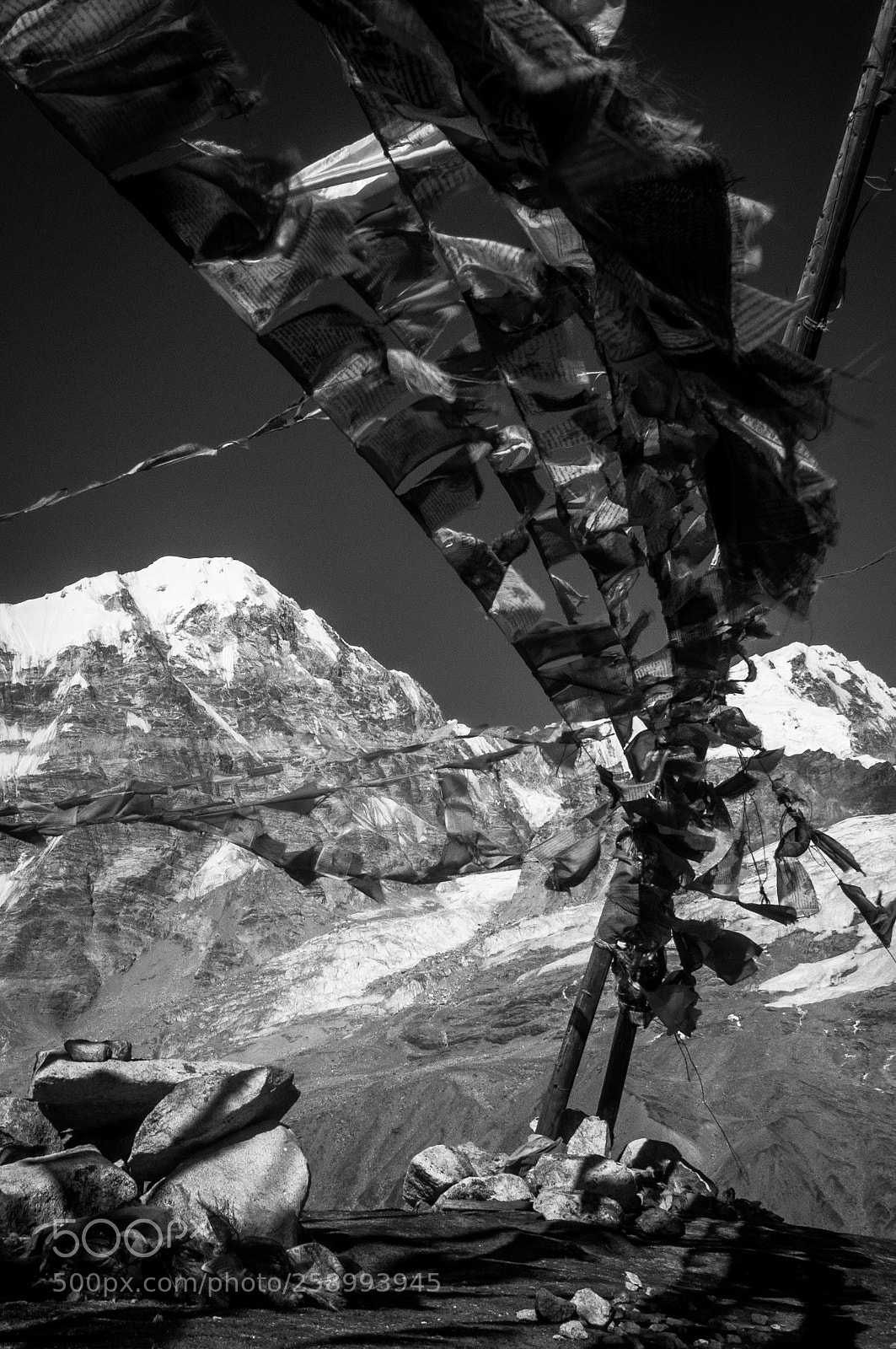 Nikon D90 sample photo. Prayer flags photography