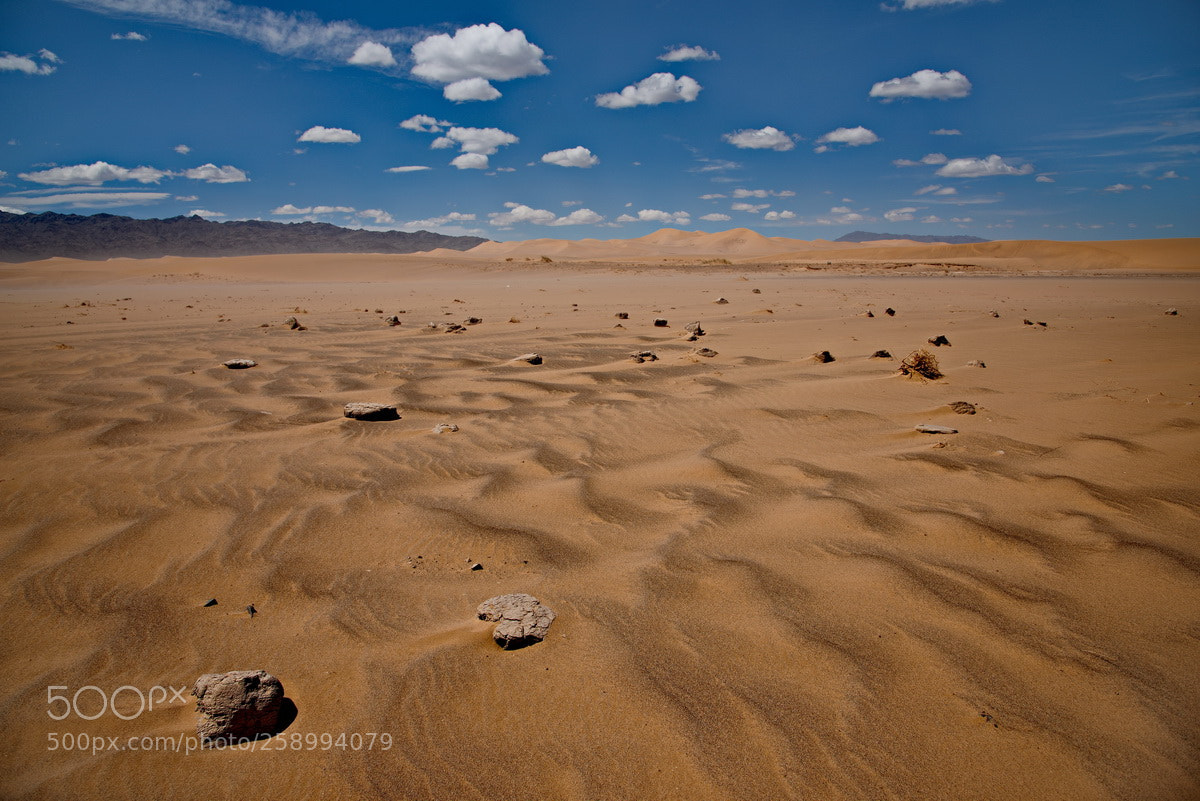 Nikon D750 sample photo. Mongolia. khongoryn-els. photography