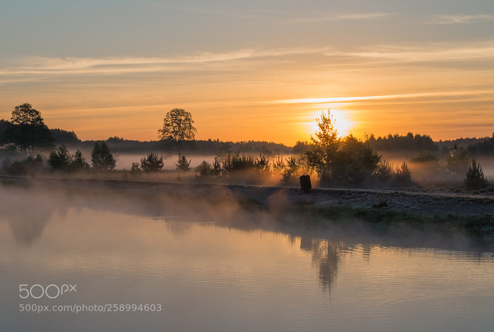 Nikon D610 sample photo. Misty lake photography