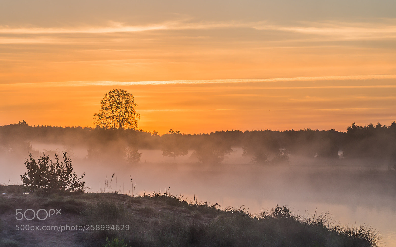Nikon D610 sample photo. Misty lake photography